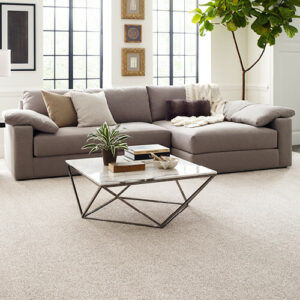Living room carpet flooring | Jimmie Lyles Flooring Gallery