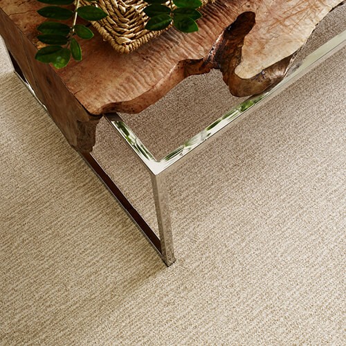 Carpet Flooring | Jimmie Lyles Flooring Gallery