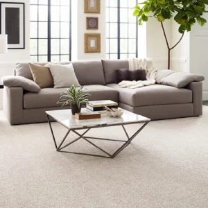 Living room flooring | Jimmie Lyles Flooring Gallery