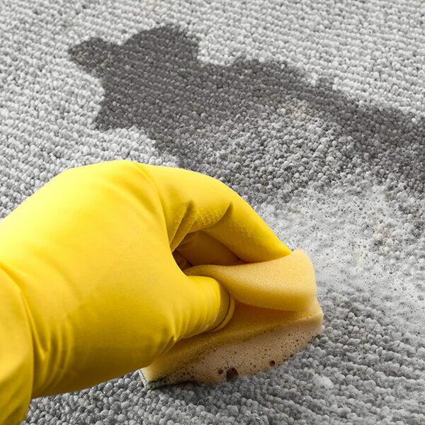 House cleaning and scrubbing the floor | Jimmie Lyles Flooring Gallery
