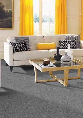 Living room carpet | Jimmie Lyles Flooring Gallery